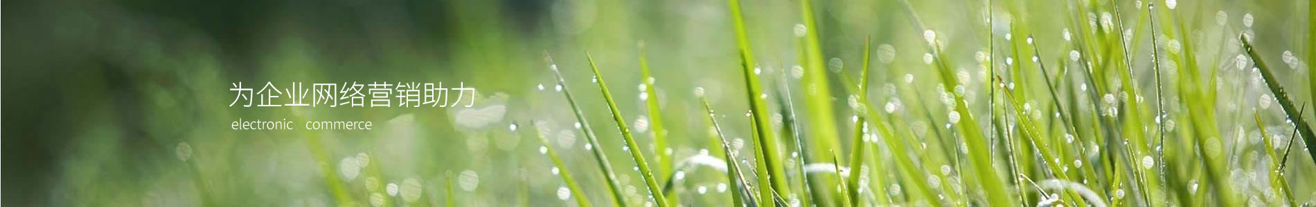 ݸлƽ¹Ʒ